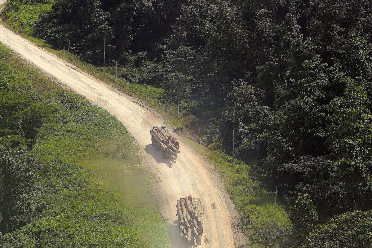 Logging road