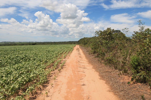 The sharp boundary between conservation and cropland on the edge of Grande Sertão Veredas National Park. Photo credit: Brendan Borrell