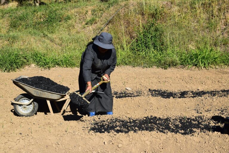 A farmer applies biochar in the field.