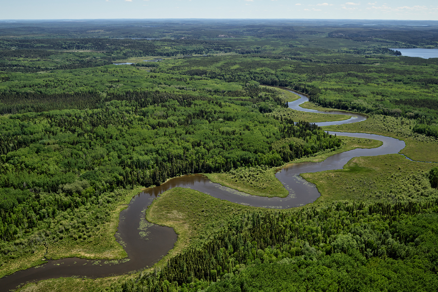 The Canadian boreal forest is one of the world’s last large remaining intact forests, home to multiple Indigenous communities and rich in biodiversity.