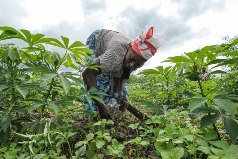 Member of the Akilimali women association in her farming plot in Yanonge, DRC. Image by Axel Fassio/CIFOR-ICRAF via Flickr (CC BY-NC-ND 2.0).