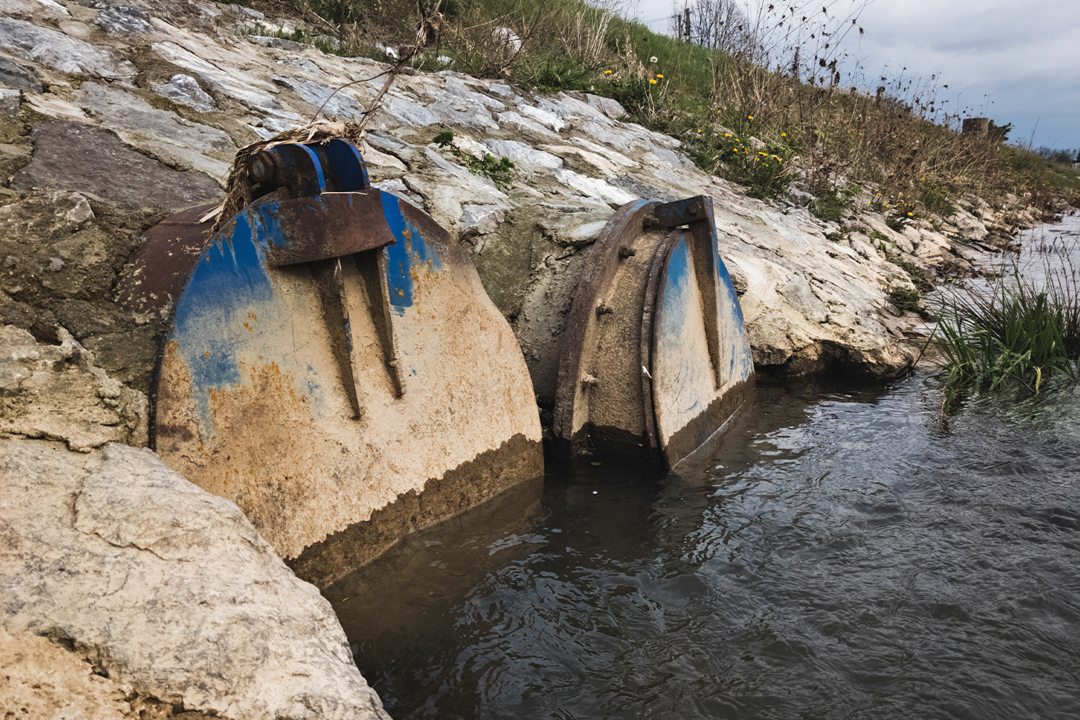 Tracing cocaine use trends in wastewater is a common practice. But how this flow impacts the environment is a topic still being explored. Initial research, however, already indicates it can be harmful to aquatic species.