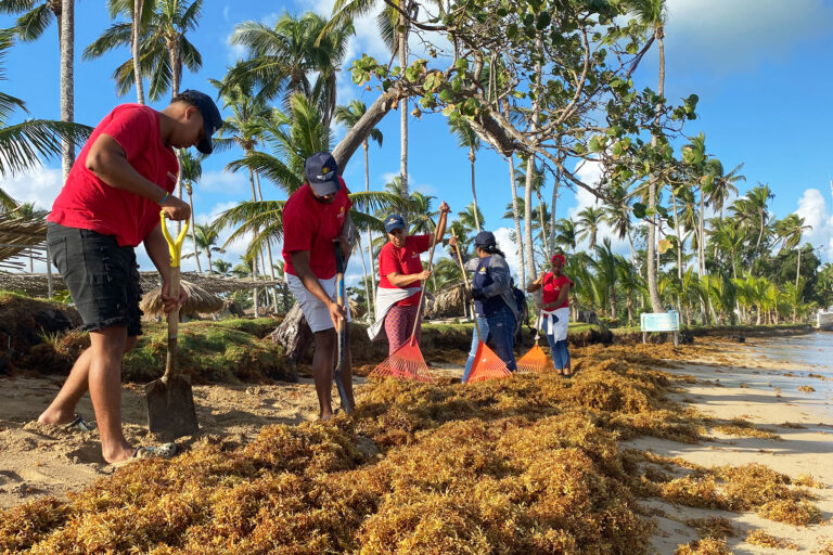 Cleaning a beach in the Dominican Republic.