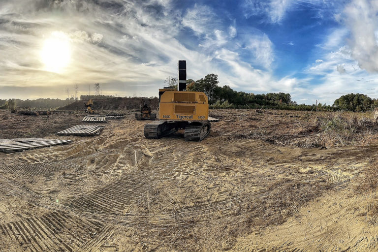 A deforestated site in Edenton, North Carolina.