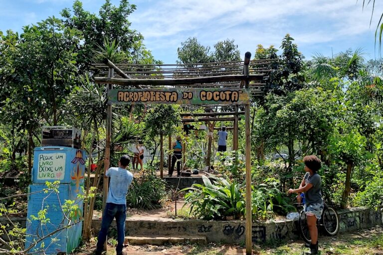 Building a pergola at the entrance to the Cocotá Agroforest, 2023. Image courtesy of Cocotá Agroforest collective.