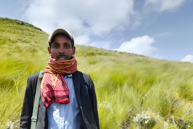 Desta Melaku, one of the board member of Guassa Community Conservation Office, stands in front of a field of guassa grass. Image by Solomon Yimer for Mongabay.