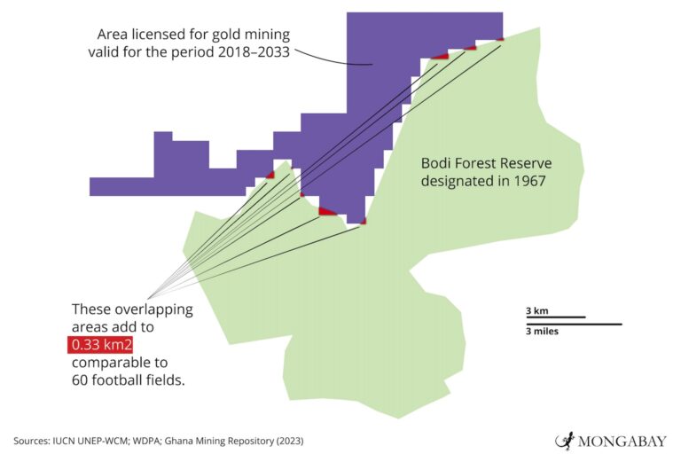 Map showing where gold mining licences have been issued overlapping the Bodi Forest Reserve.