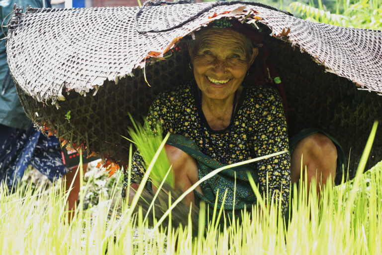 A woman prepares a field for paddy farming after harvesting foxtail millet.