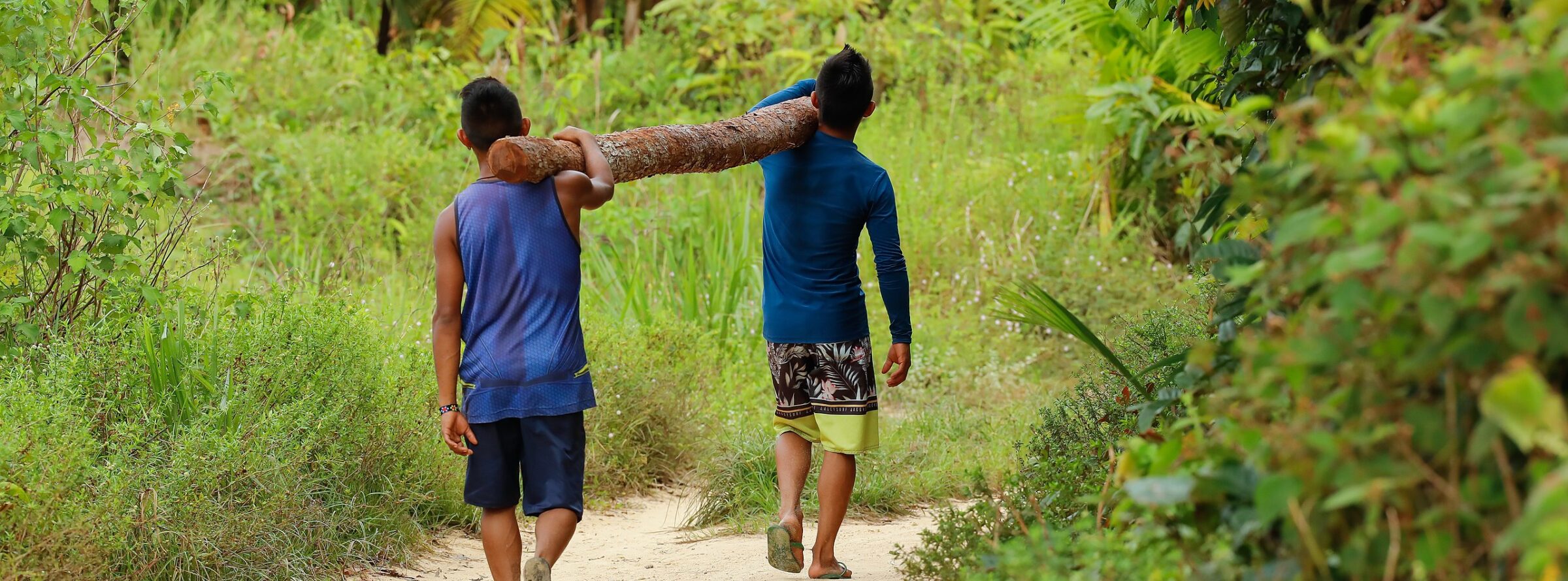 Two Yanomami men carrying wood in the Amazon forest.