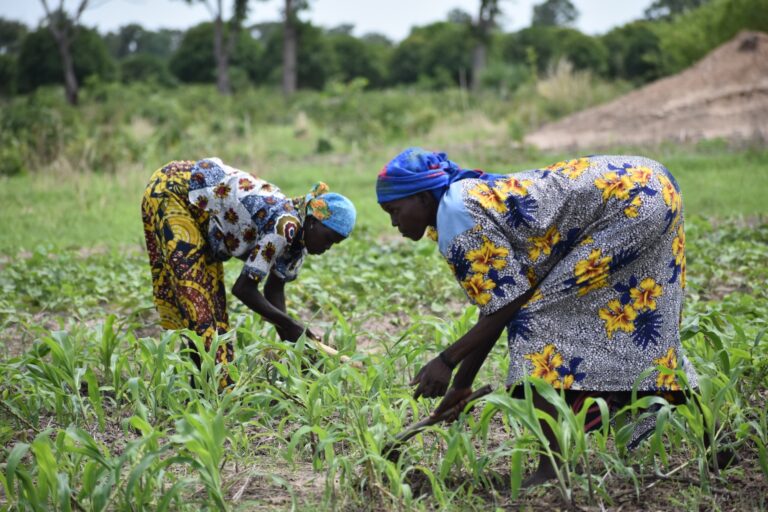 Women farmers in Chad face challenges from climate change and land conflicts. Image by Robert Bociaga.