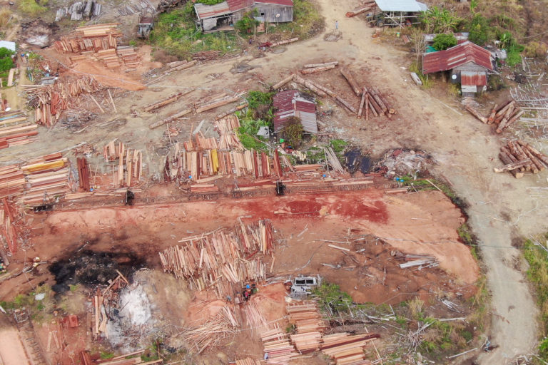 A drone image reveals trees cut from the Cardamom Mountains being processed in a yard. Photo courtesy of Marcus Hardtke.