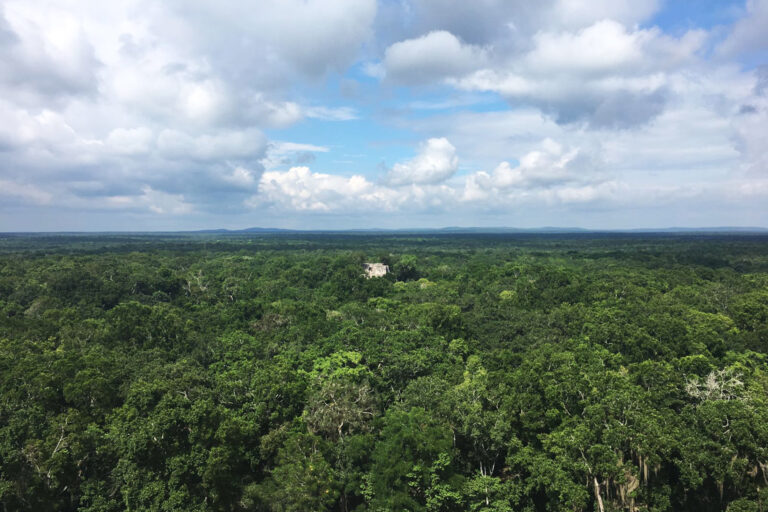 Residents of the El Sacrificio ejido base their livelihoods on subsistence agriculture and hunting.