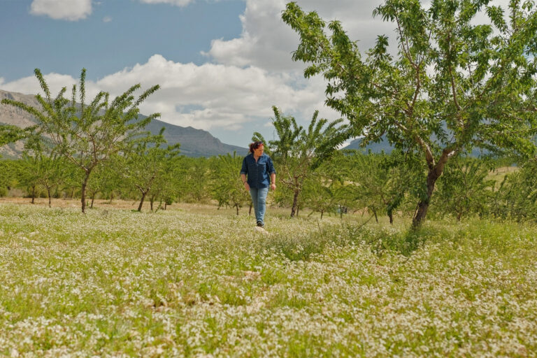 Regenerative agriculture methods, such as green cover crops, help Santiaga Sánchez’s farm better withstand persistent drought punctuated by sudden violent storms.