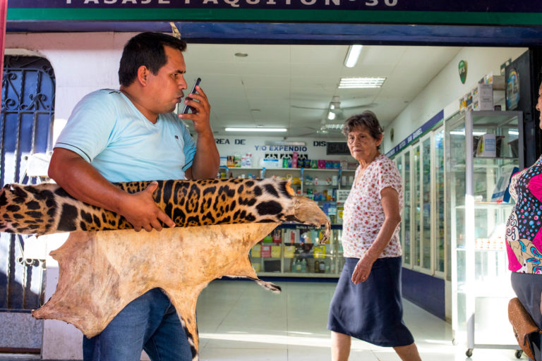 Jaguar skin for sale at the Belen market