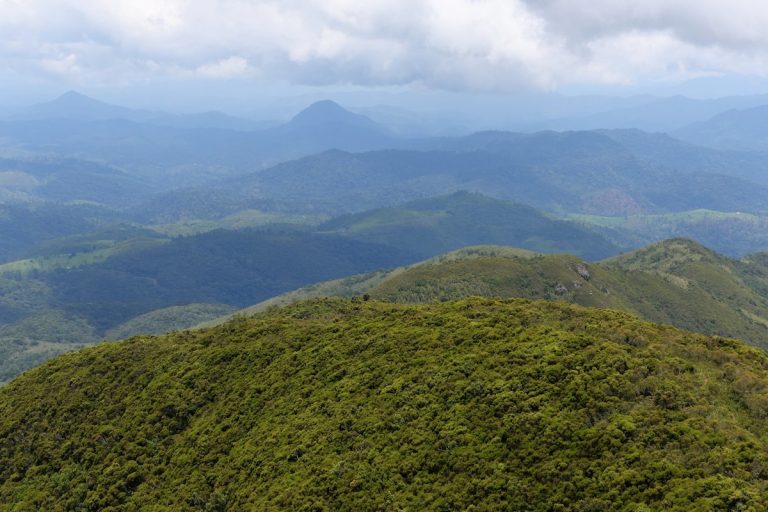 Kahuzi Biega National Park