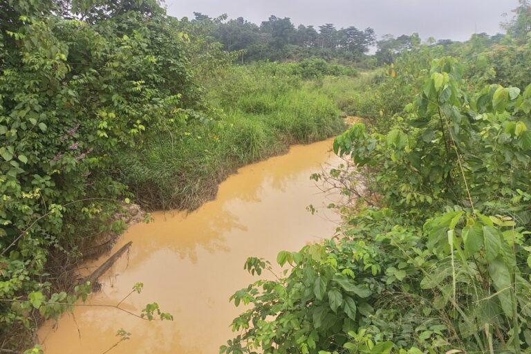 A polluted waterway in Apamprama reserve. Image by Awudu Salami Sulemana Yoda.