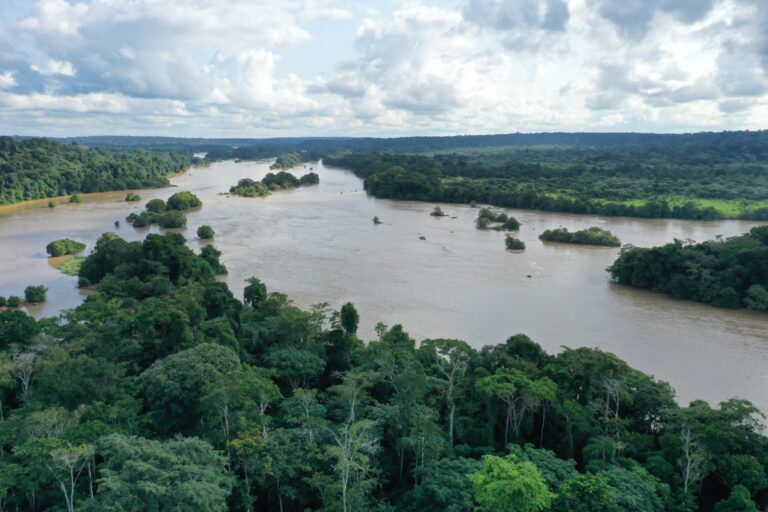 Lake Ossa in Cameroon is an African manatee habitat and the location for Kamla’s earliest work on the species. (Credit: African Marine Mammal Conservation Organization ).