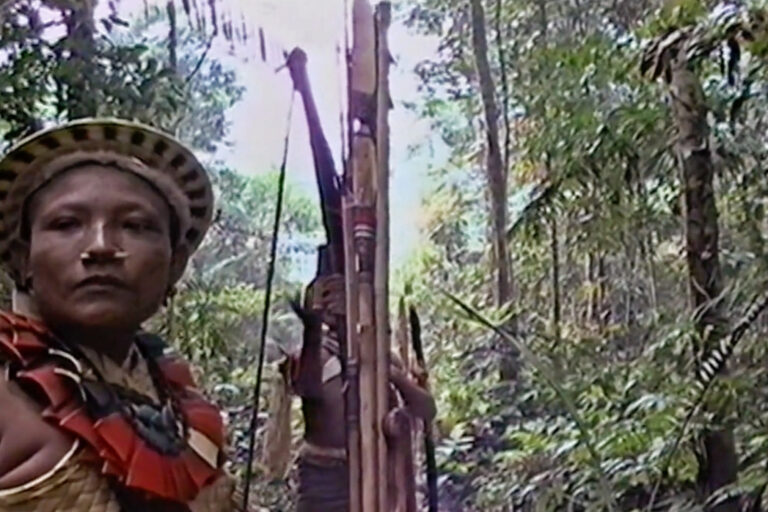 The search for the Kanoê brothers produced impressive footage