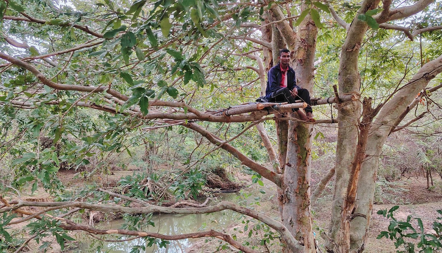 A volunteer stationed in a makeshift treehouse to count elephants.