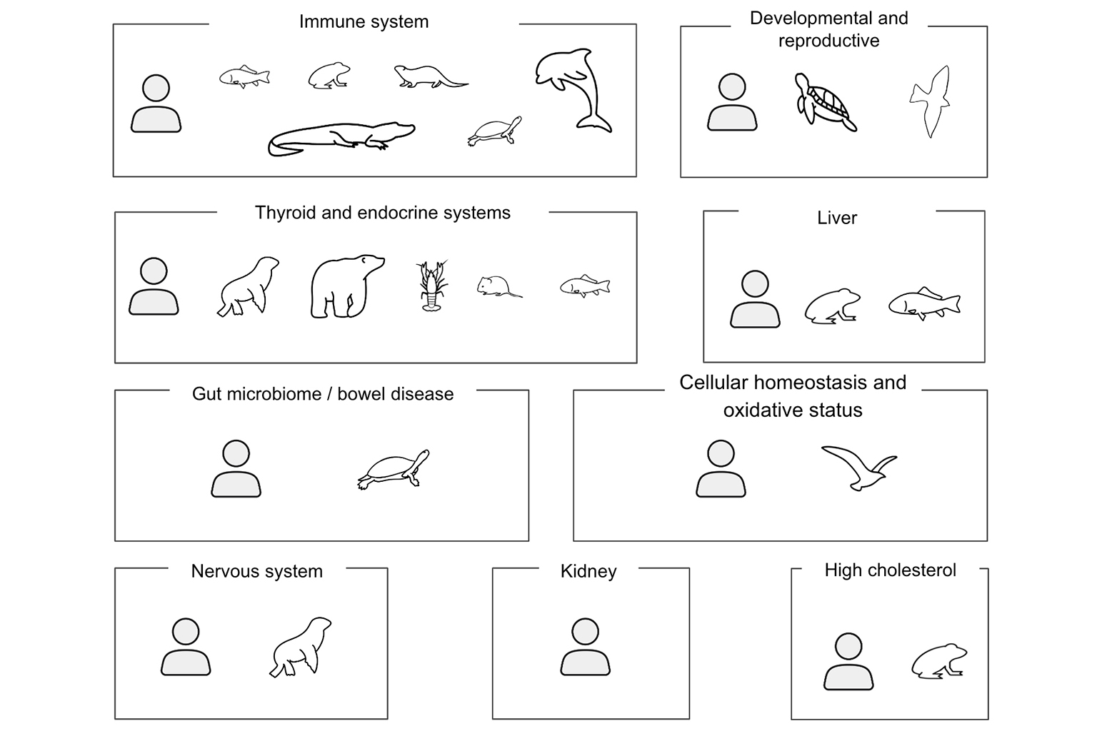 A litany of serious PFAS exposure health effects have been documented in epidemiological research and wildlife studies