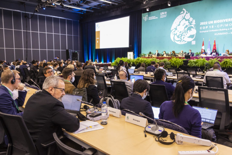 Negotiators in the working groups seek to work out agreements at COP15 in Montreal. Image by UN Biodiversity via Flickr (CC BY-NC-ND 2.0).