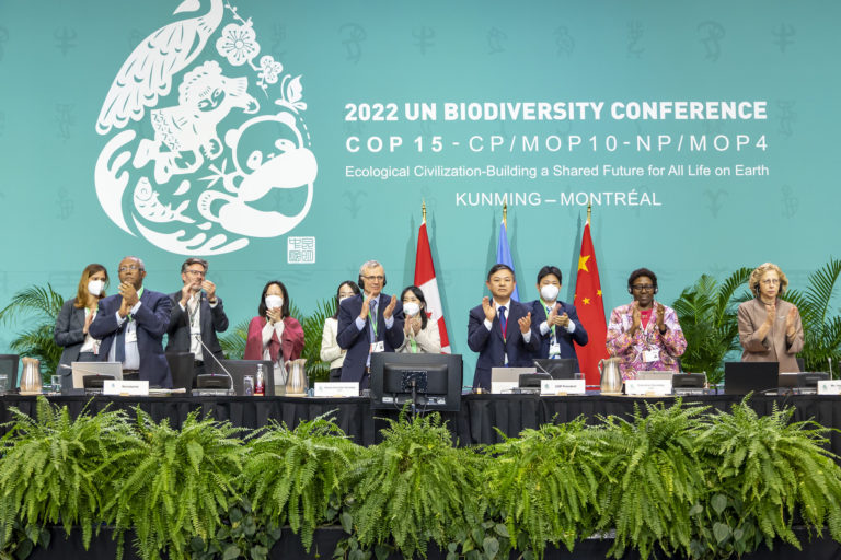 From center left to right: David Cooper, CBD Deputy Executive Secretary; COP 15 President Huang Runqiu, Minister of Ecology and Environment, China; Xia Yingxian, China; and Elizabeth Maruma Mrema, CBD Executive Secretary. Image by UN biodiversity via Flickr (CC BY-NC-ND 2.0).