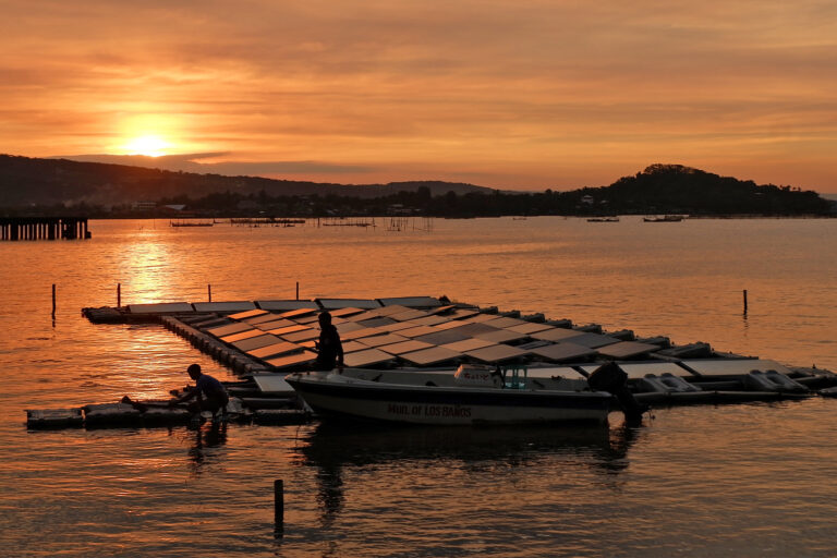 A 200-square-meter (2,150-square-foot) small-scale floating solar photovoltaic pilot project in Los Baños, Laguna