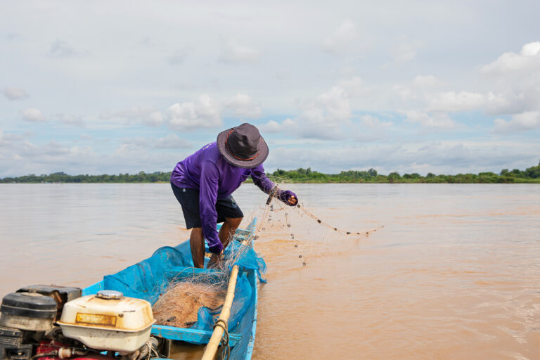 A fisherman feeds his net into the Mekong River on the Thai-Lao border by Chiang Saen.