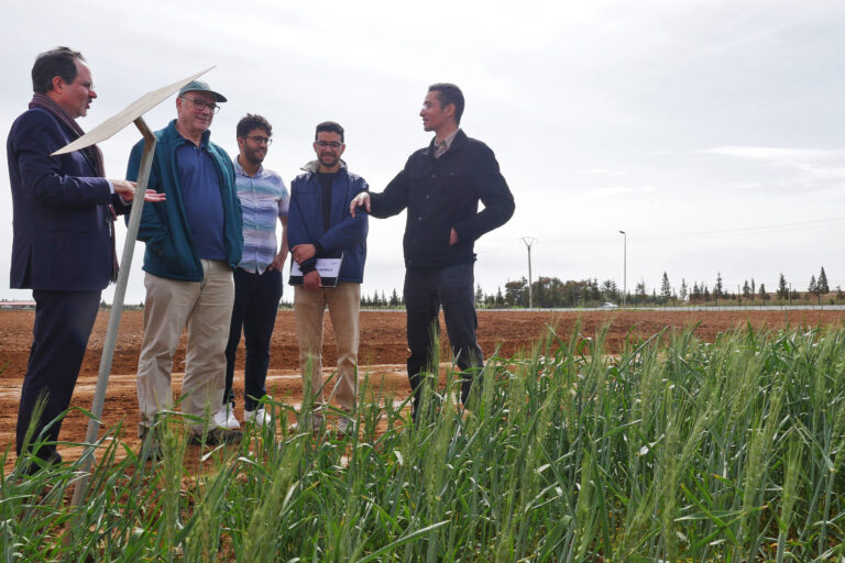 A group of UM6P scientists take a visiting forestry scientist from Penn State University on a tour of the experimental farm in Ben Guerir.