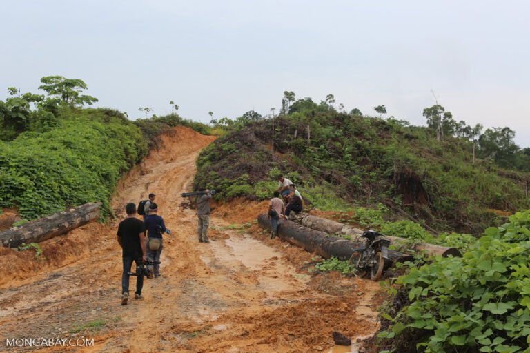 Illegal road leading to an oil palm plantation in Indonesia.