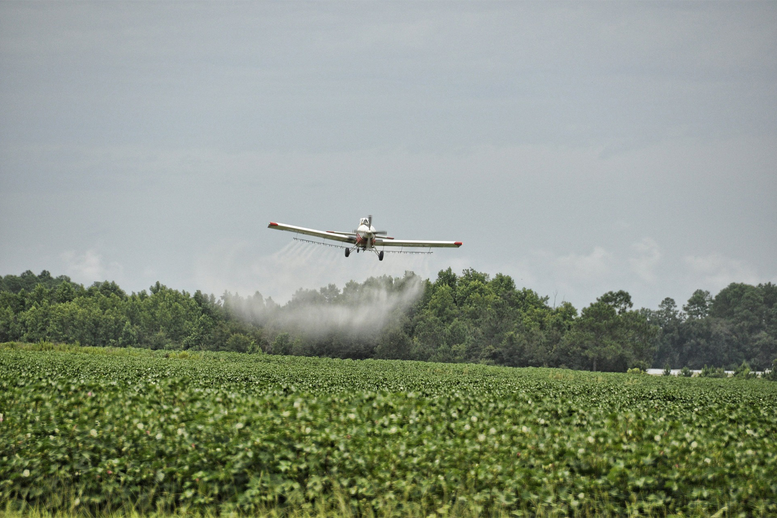 Aerial spraying of pesticides. Aerial spraying with the controversial herbicide glyphosate, popularly known as Roundup, is argued by critics to have left a legacy of ecosystem and human harm. Image by amissphotos via Pixabay.