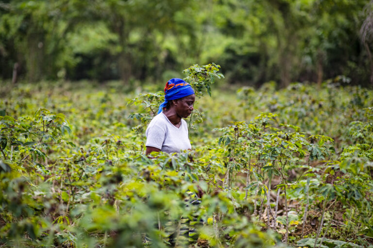 A teacher and farmer in Lukolela, DRC.