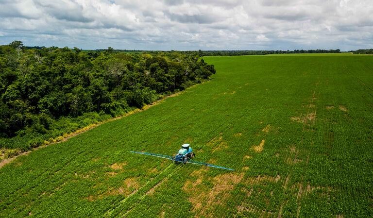 Agribusiness Rush in the MATOPIBA Region.