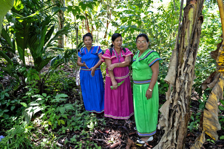 From left: Florinda Zurdo, Silvia Salina and Patricia Mendoza stand in a plot of land near ASASTRAN’s site in Lajero where traditional medicine is cultivated.