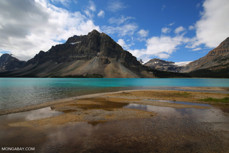 Bow Lake in Banff, Canada. Photo credit: Rhett A. Butler