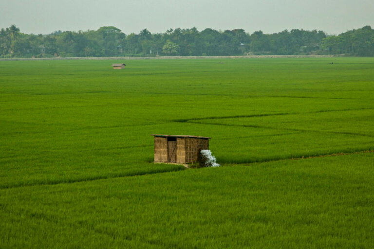 Electric irrigation pump in a paddy field in Chuadanga, Bangladesh.