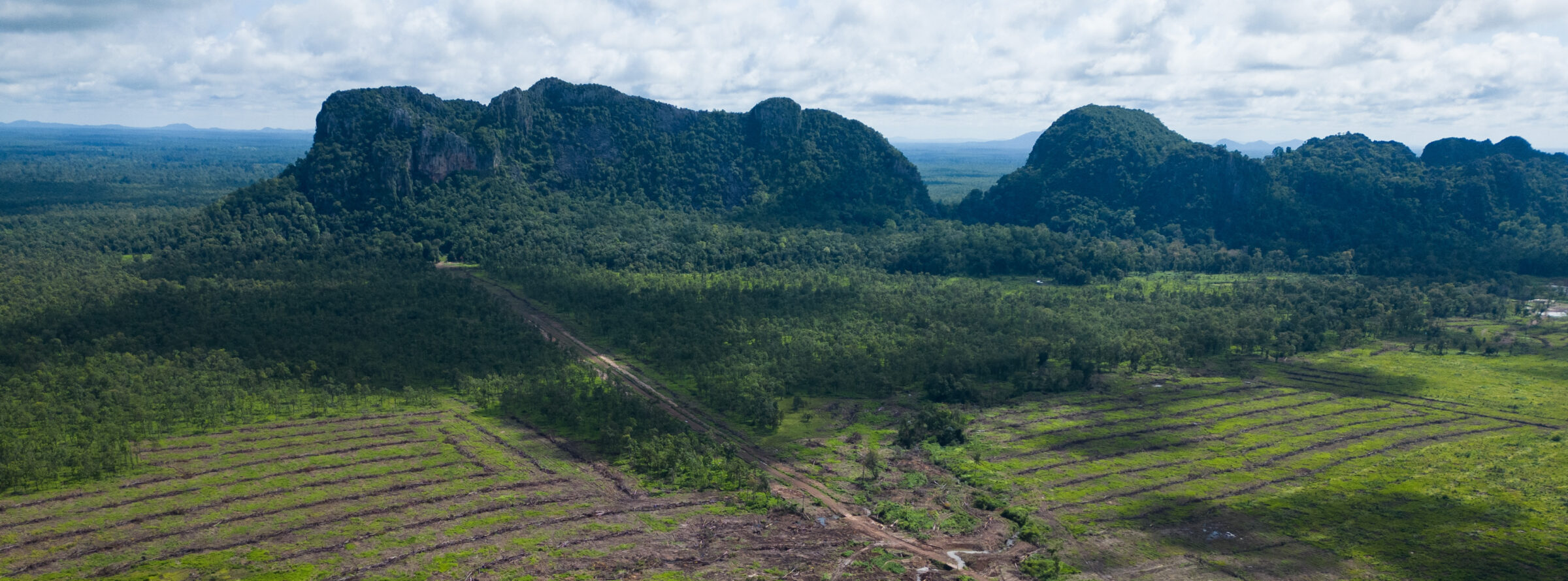 Having already picked Phnom Chum Rok Sat community forest clean of large, valuable trees, loggers working for Lin Vatey now appear to be clear-cutting what remains of the forest. Image by Gerald Flynn / Mongabay