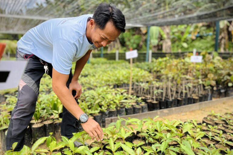 Community tree nursery