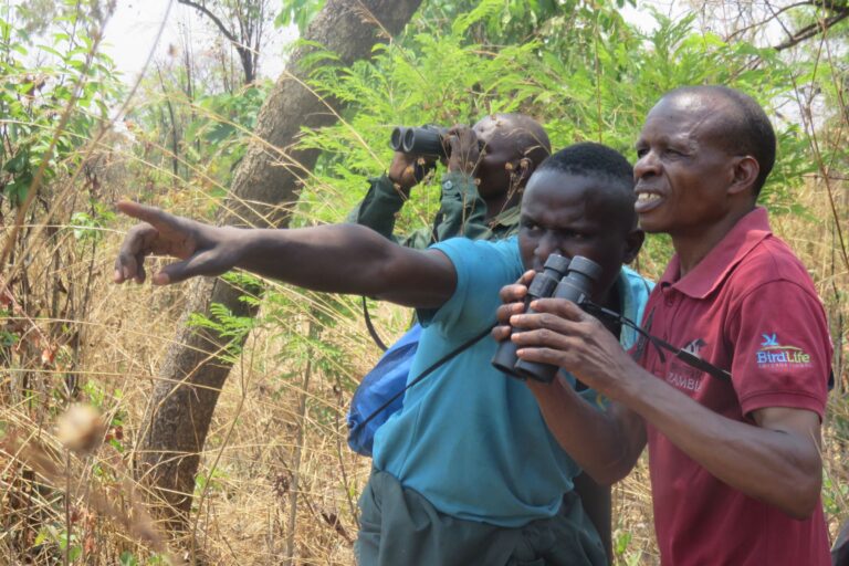 Members of BirdWatch Zambia with binoculars, pointing at something interesting out of the frame. Image © WeForest