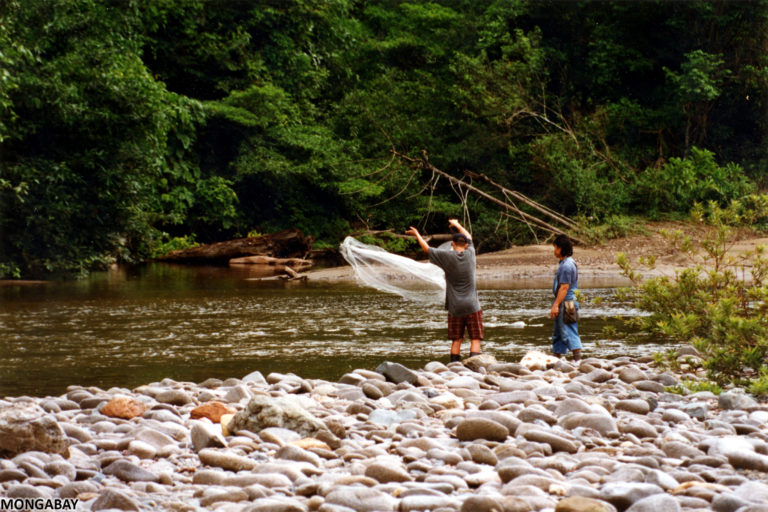 Me using a throw net in Borneo in 1995.