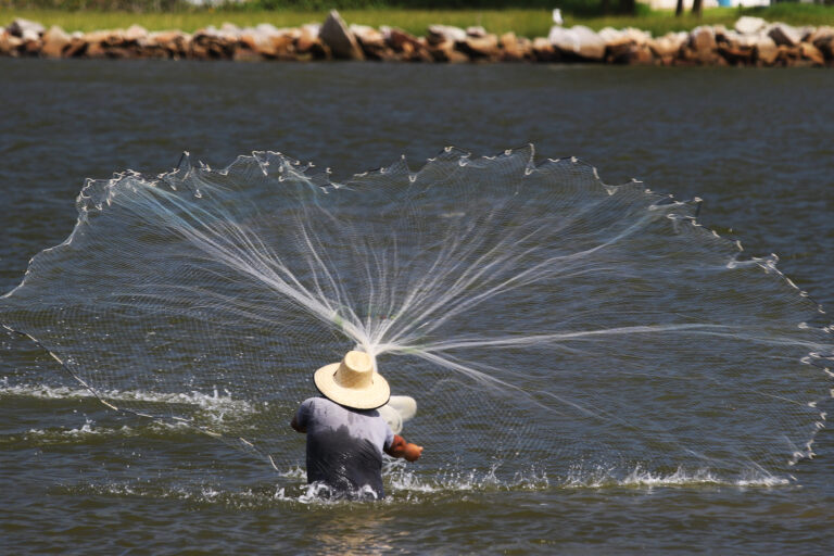 A fisher casts a net in Laguna, Brazil.