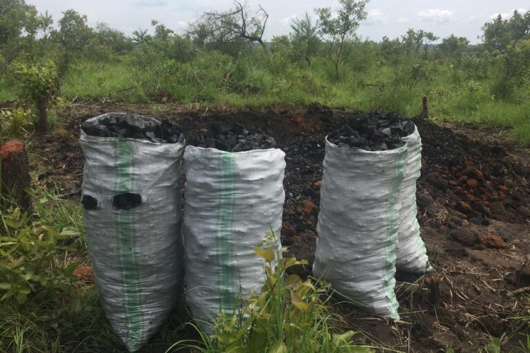 Charcoal from wood harvested in miombo woodlands, destined for sale in urban areas. Overall, wood fuel accounts for 76% of energy usage in the miombo region. Experts say developing alternative affordable sources of energy, particularly for urban areas, is sorely needed to halt deforestation in the miombo. Image courtesy of Edwin Tambara, AWF.