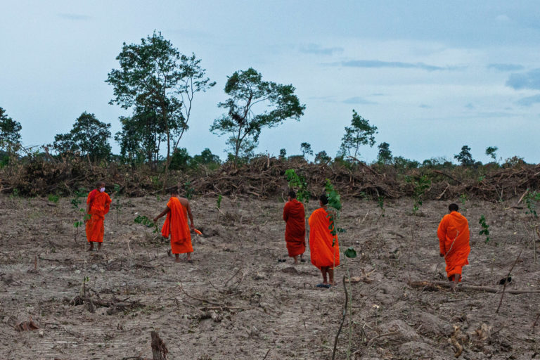 Chhum Rotha and his fellow monks join the replanting efforts in Phnom Tamao.