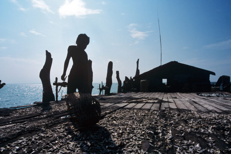 A child in Jakarta working in the fishing sector.