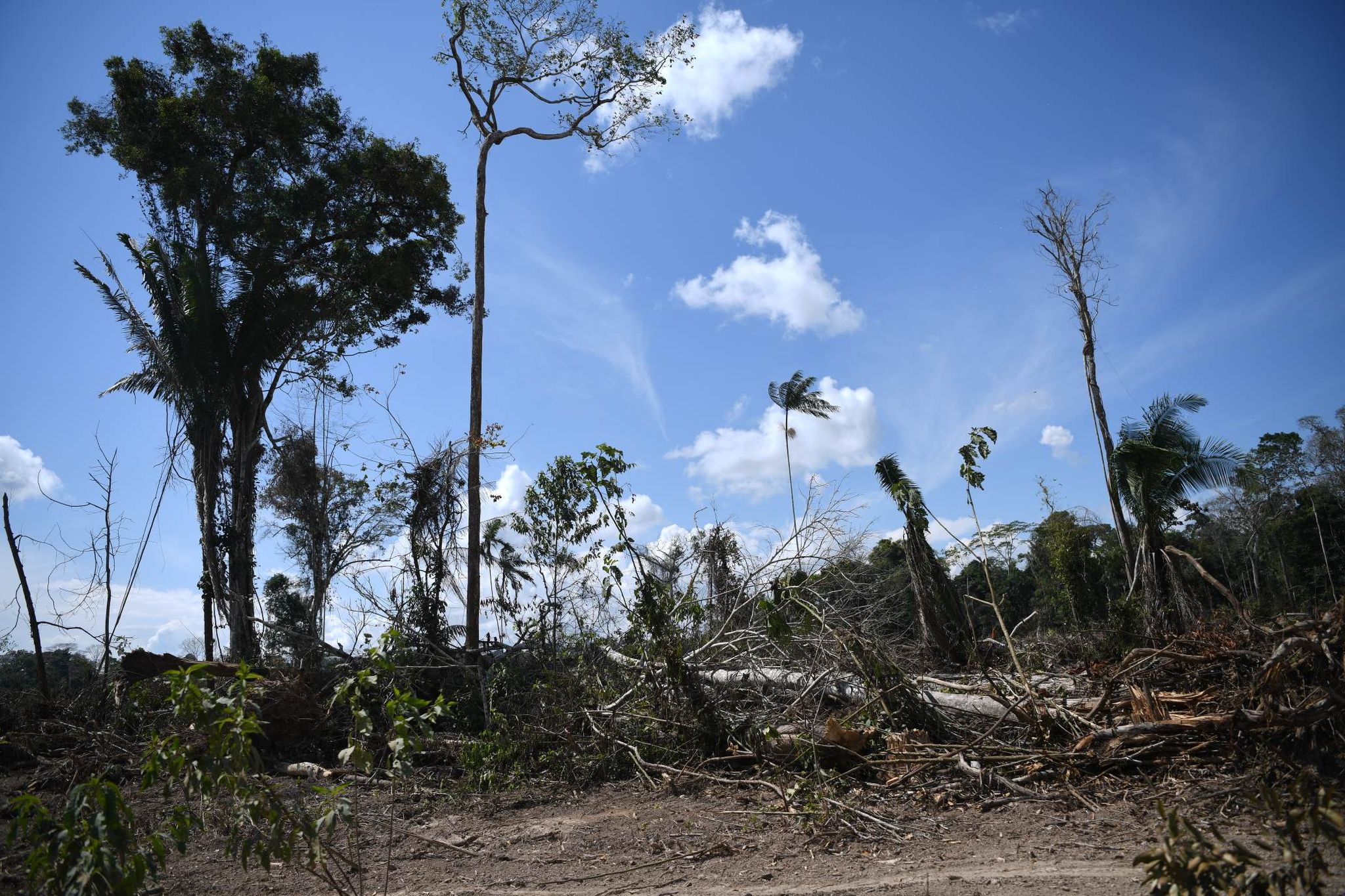 Recently deforested land near Tiruntán. Image by Hugo Alejos.