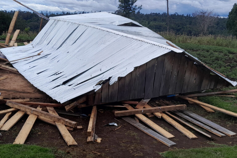 Demolished house in the Maasai Mau Forest Reserve. Image courtesy OPDP.