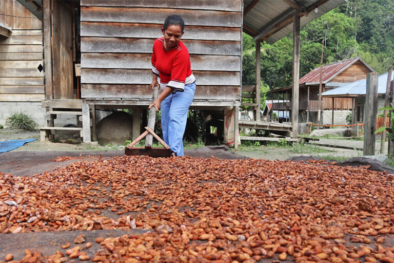 A woman from the Moa community drying cocoa.