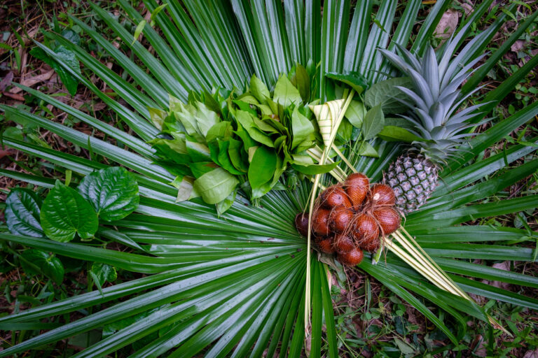 Agroforestry products Thailand