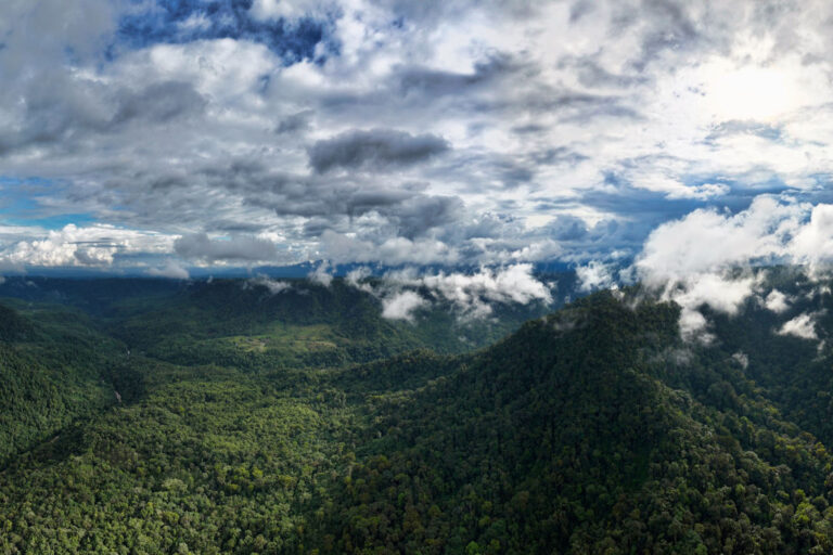 Reserva Narupa in Ecuador. Photo credit: Rhett A. Butler