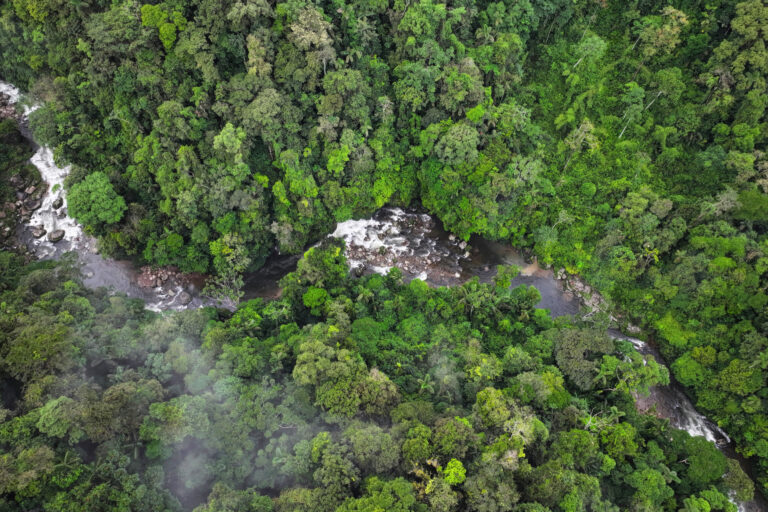 River in the Amazon rainforest. Photo credit: Rhett A. Butler